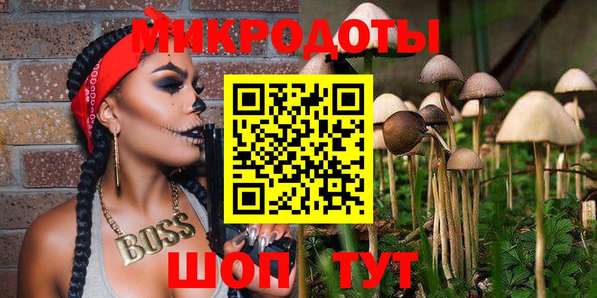 Псилоцибиновые грибы мухоморы Сертолово