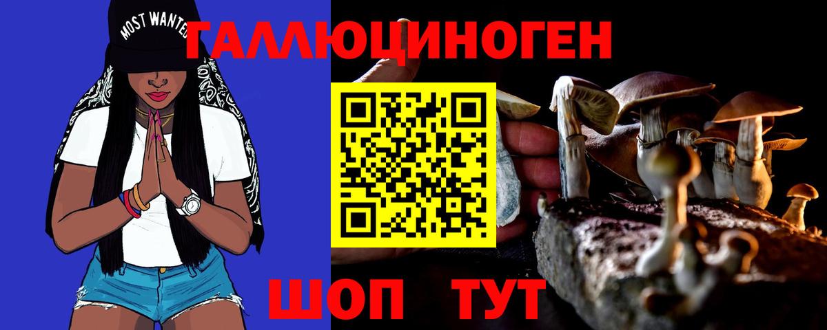 как найти закладки  Псилоцибиновые грибы мухоморы  Вход с VPN  Сертолово 